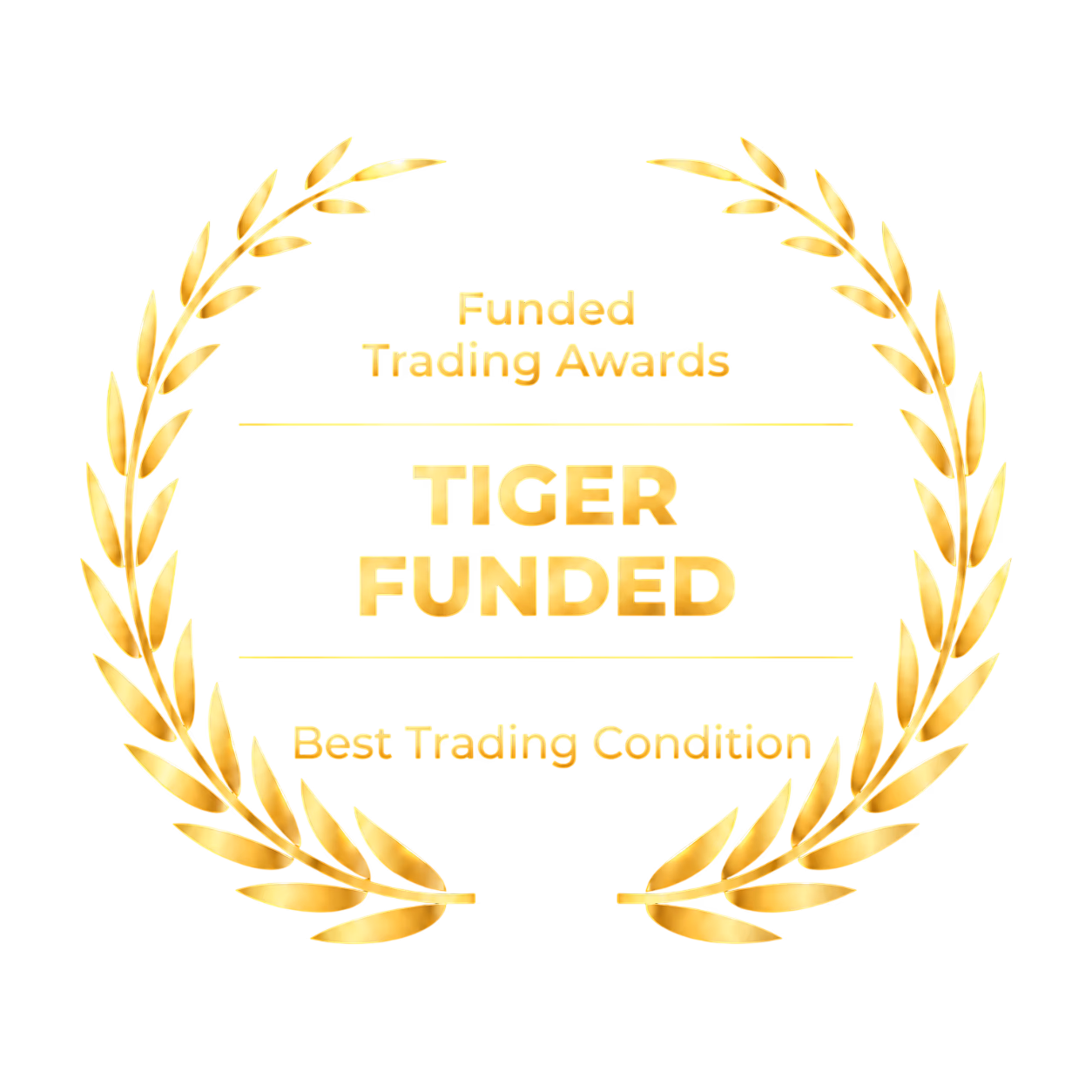 2025 Best Trading Condition